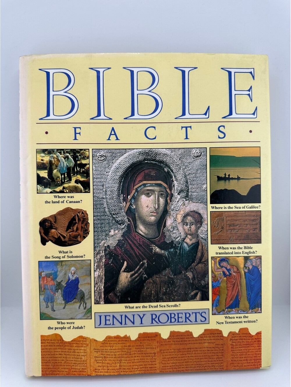 Bible Facts Illustrated Guide Jenny Roberts Hardcover